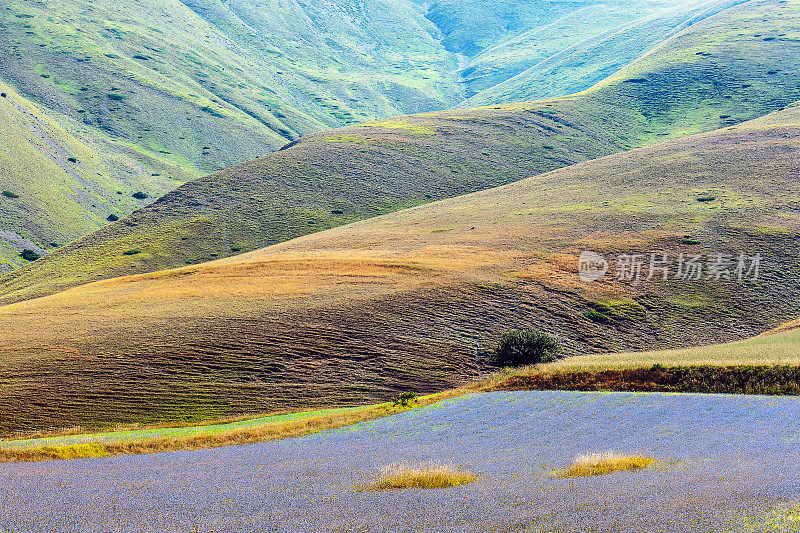 Piano Grande di Castelluccio(意大利)，绿色山丘上的村庄